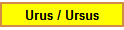 Urus / Ursus