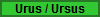 Urus / Ursus