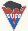 Logo Stier100