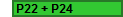 P22 + P24